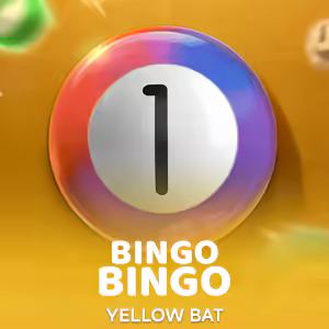 Bingo Bingo