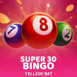 Super 30 Bingo
